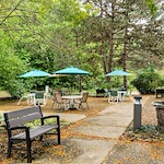 Image of Elderwood At Williamsville (5)