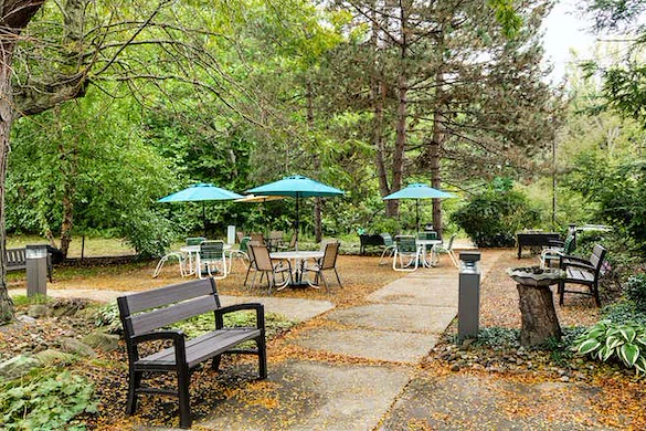 Image of Elderwood At Williamsville (5)