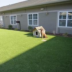 Image of Northlake House Memory Care (4)