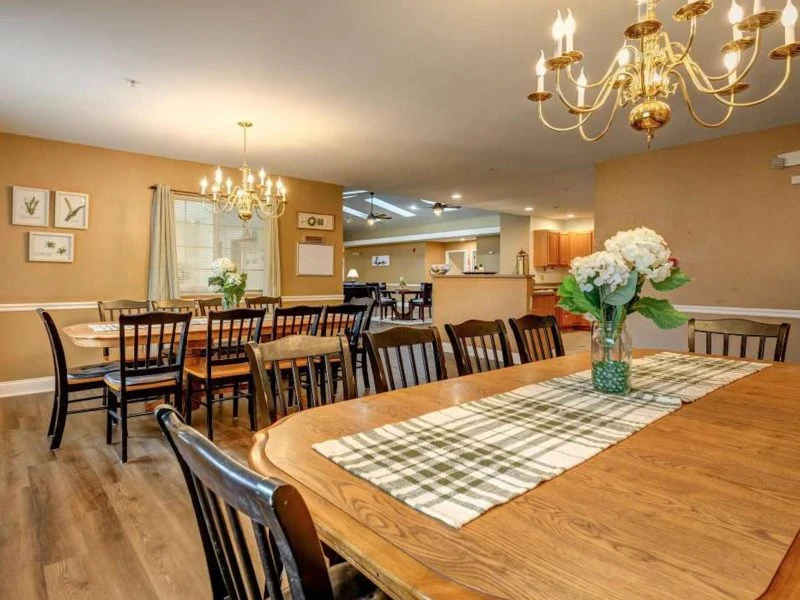 Image of Shepherd of Dixon (6)