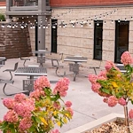 Image of The Cambric (3)