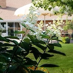 Image of Apostolic Christian Home Of Eureka (2)