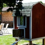 Image of Morningside Health Services (9)