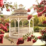 Image of Mercy Ridge (2)