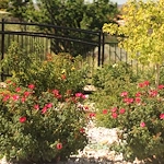 Image of St. Michael's Namaste House (6)