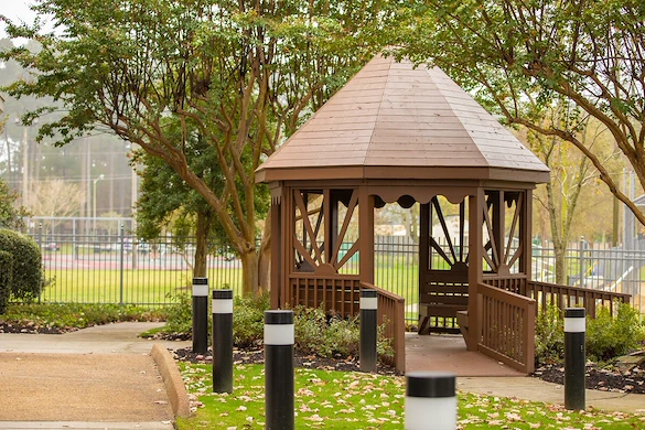 Image of Bay Lake (3)