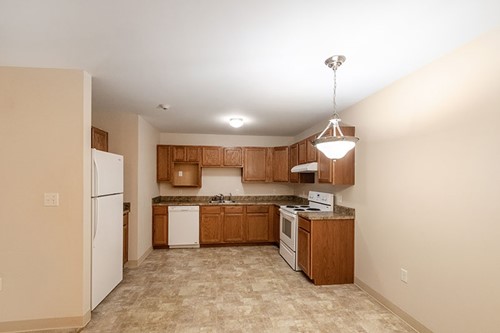 Image of Connect55+ Independence (4)