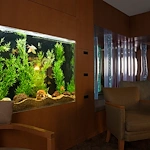 Image of Normandy Manor Of Rocky River (3)