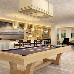 Wellington Bay with Lisbet Health Center senior living community offering independent living, assisted living, and memory care in Wellington, FL, common area featuring a bar and pool table
