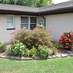 Image of Hawksbill (1)