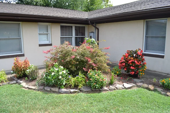 Image of Hawksbill (1)