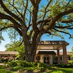 Image of Lady Of The Oaks Retirement Manor (1)