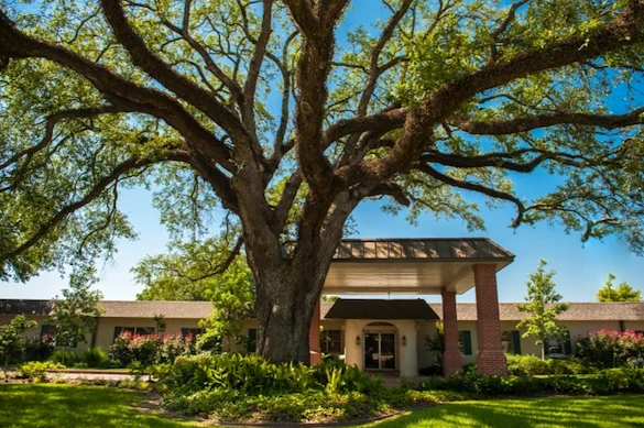Image of Lady Of The Oaks Retirement Manor (1)