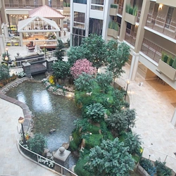 Image of Tapestry Senior Living Moon Township (4)
