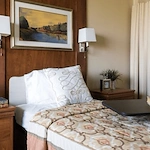 Image of Autumn Leaves (3)