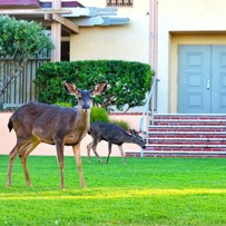 Image of Canterbury Woods Senior Living (3)