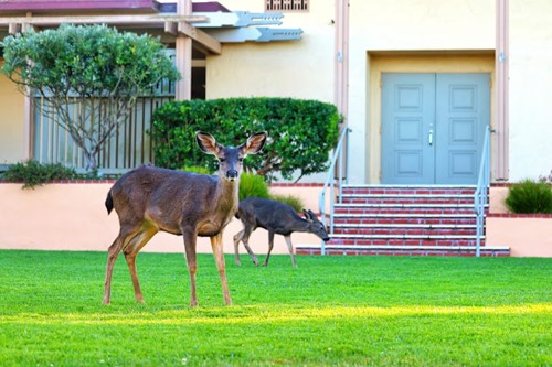 Image of Canterbury Woods Senior Living (3)