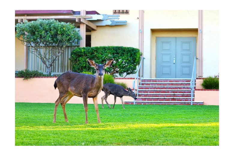 Image of Canterbury Woods Senior Living (3)