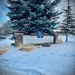 Image of Vineyard Park of South Hills (1)