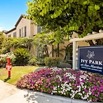 Image of Ivy Park at San Marino (1)