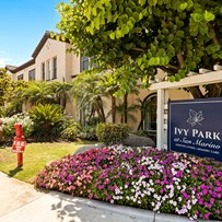 Image of Ivy Park at San Marino (1)