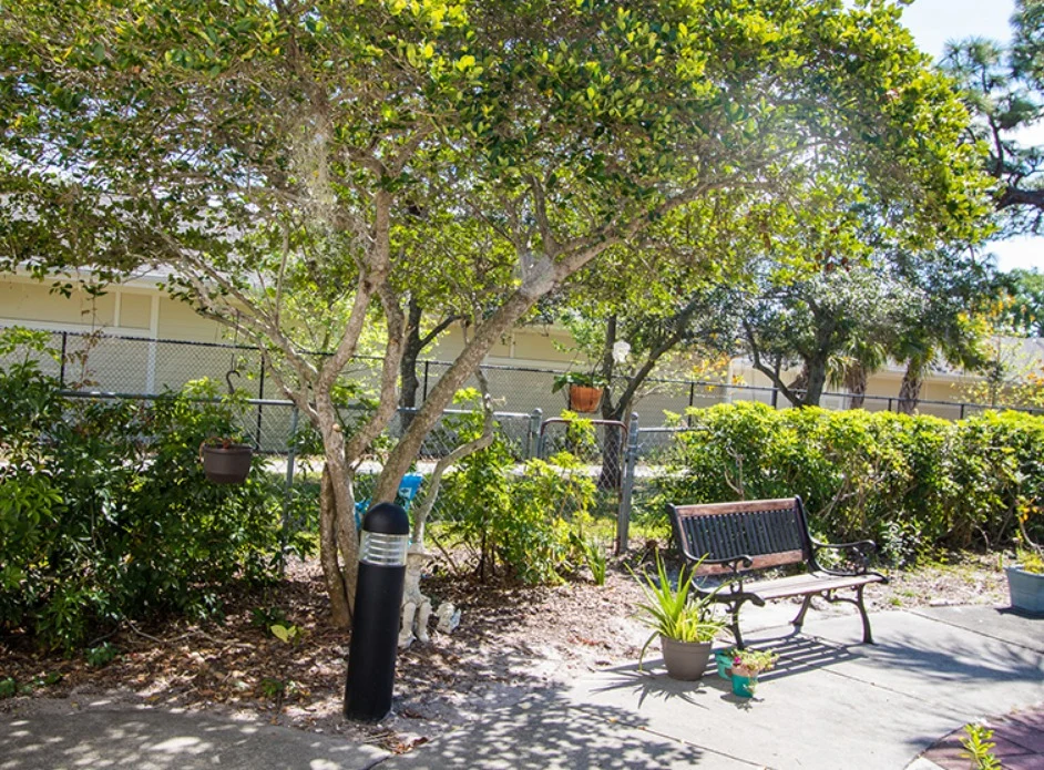 Image of Harbourwood Post-Acute And Rehabilitation Center (1)