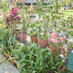 Image of St. Johns Nursing Center (6)