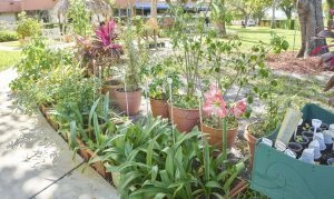 Image of St. Johns Nursing Center (6)