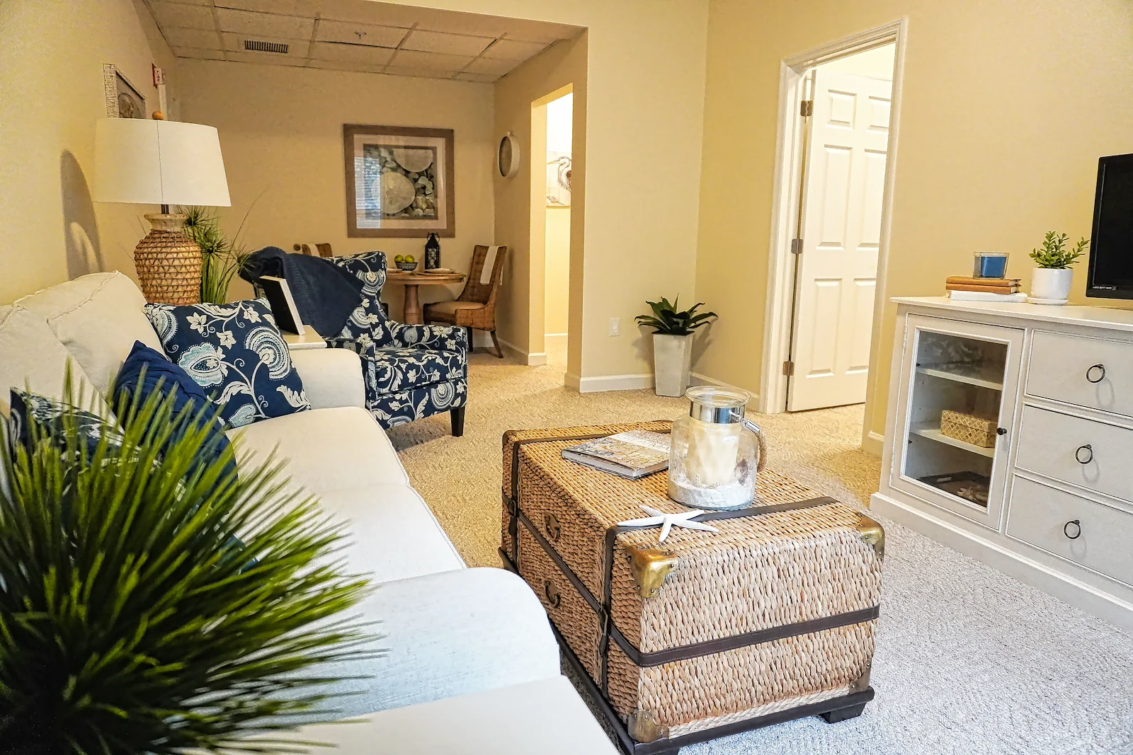 Image of Sodalis Stuart (6)