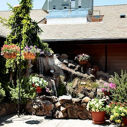 Image of Linda Vista Nursing & Rehab (3)