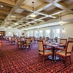 Image of Vitality Court Texas Star (2)
