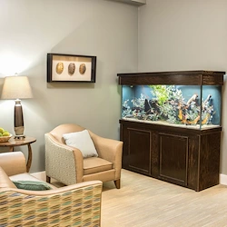 Image of Dominion Senior Living Crossville (2)