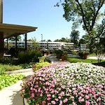 Image of Norwood Crossing (8)