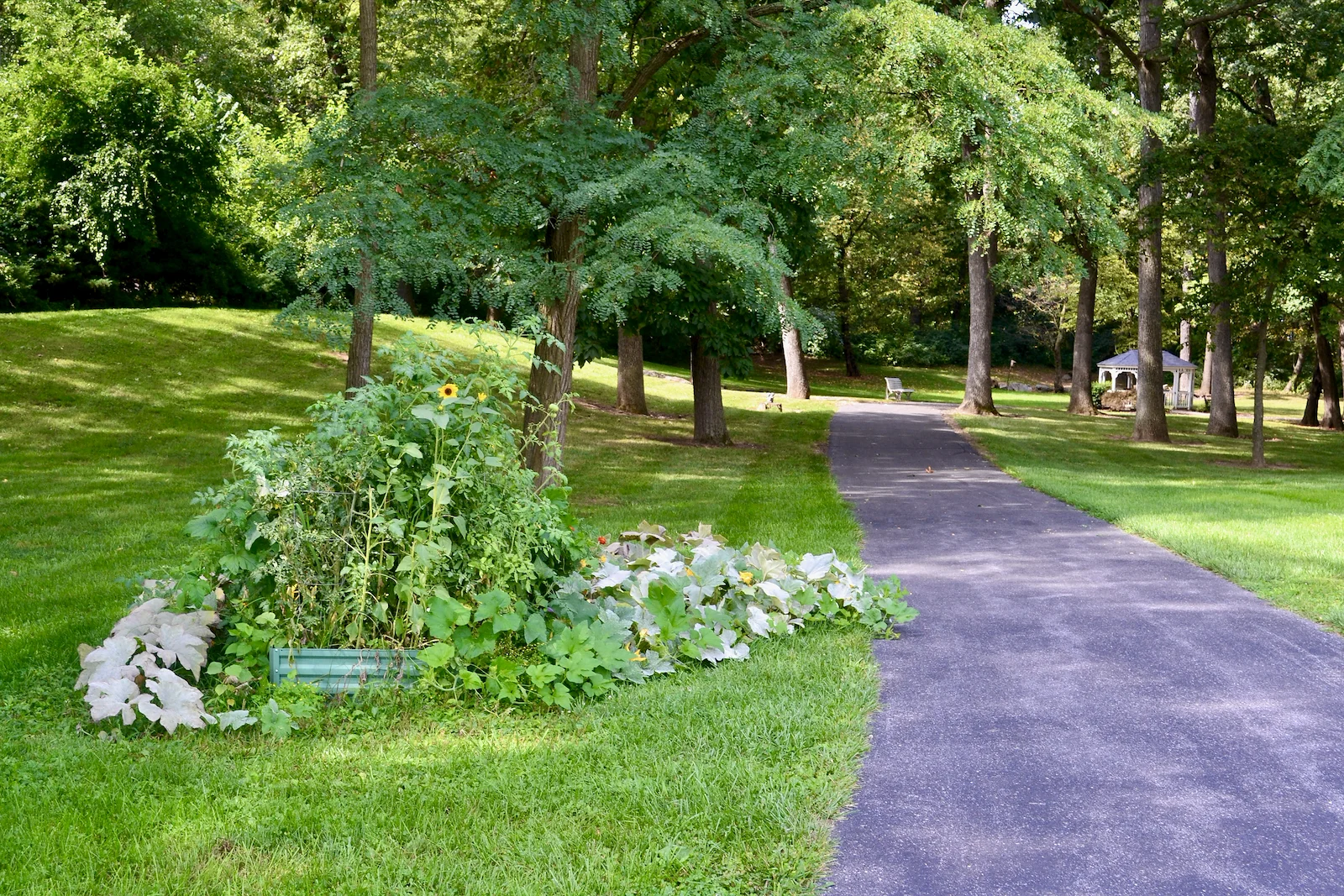 Image of Providence Place Senior Living of Chambersburg (5)