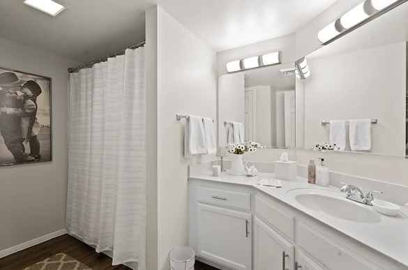 Image of The Palms (8)