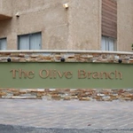 Image of The Olive Branch (2)