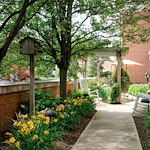 Image of Sunrise on Vernier (7)