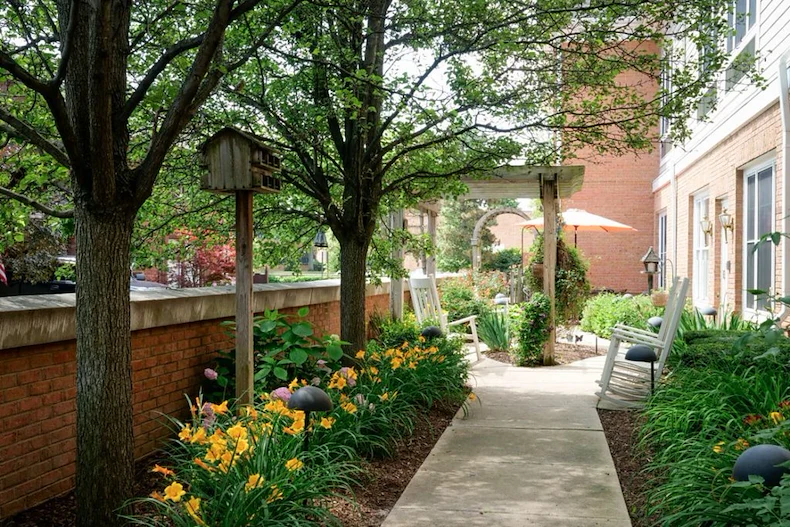 Image of Sunrise on Vernier (7)