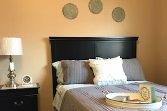 Image of Southern Magnolia Iuka (2)