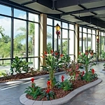 Image of Salterra at St. Petersburg (10)