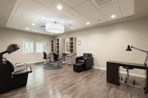 Image of Silver Birch of Avondale (4)