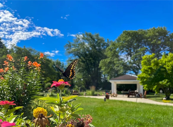 Image of St. Annes Assisted Living (7)