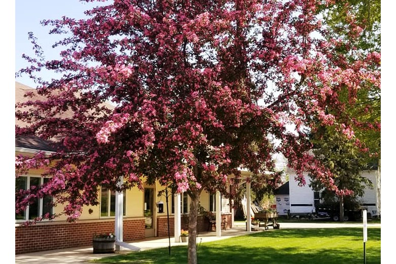 Image of Ostrander Care And Rehab - Assisted Living (1)