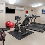 Image of Connect55+ Independence (7)