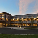 Image of Salude - The Art Of Recovery (1)