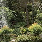 Image of Bellewood (5)