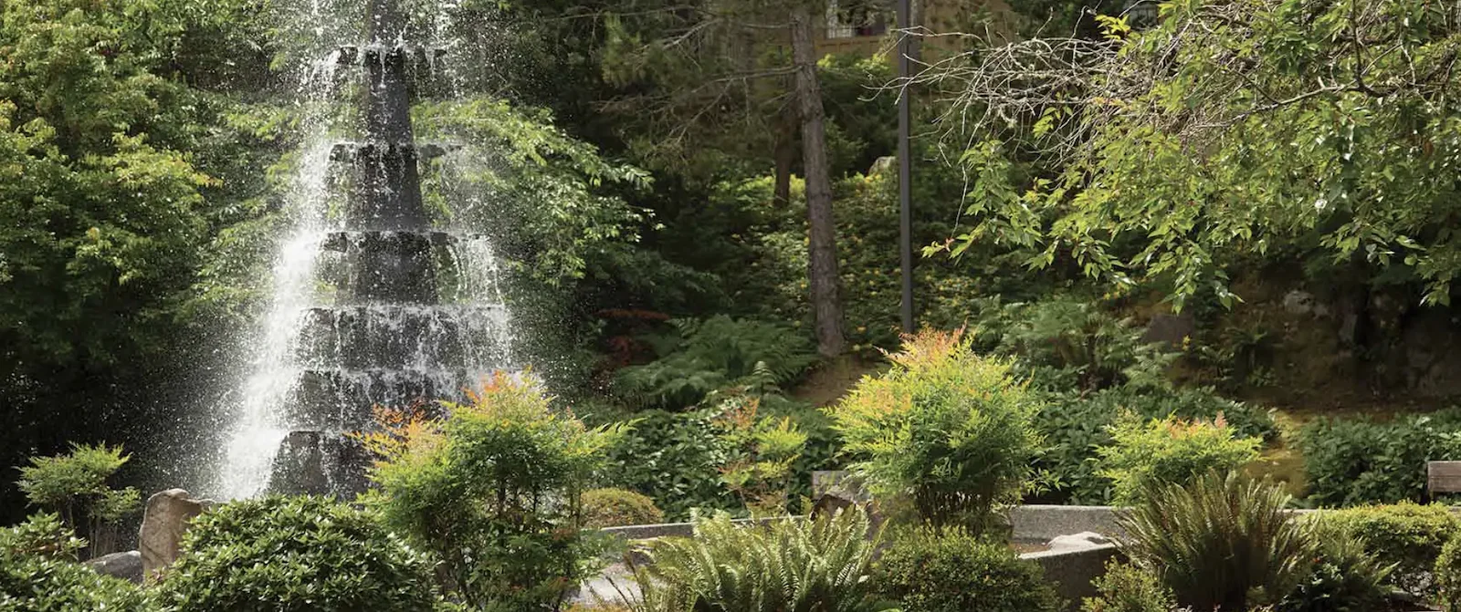 Image of Bellewood (5)