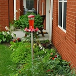 Image of Fairmount Homes - Farm Crest (3)