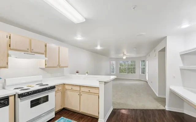 Image of Stone Brook Seniors (10)