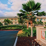 Image of Ilima at Leihano (1)